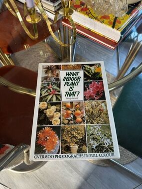 What Indoor Plant Is That? - Illustrated Guide (White Hard Cover)
